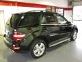 Black - ML 350 Photo No. 4