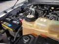 5.4 Liter SOHC 16-Valve Triton V8 Engine for 2004 Ford F250 Super Duty XLT SuperCab #58586064