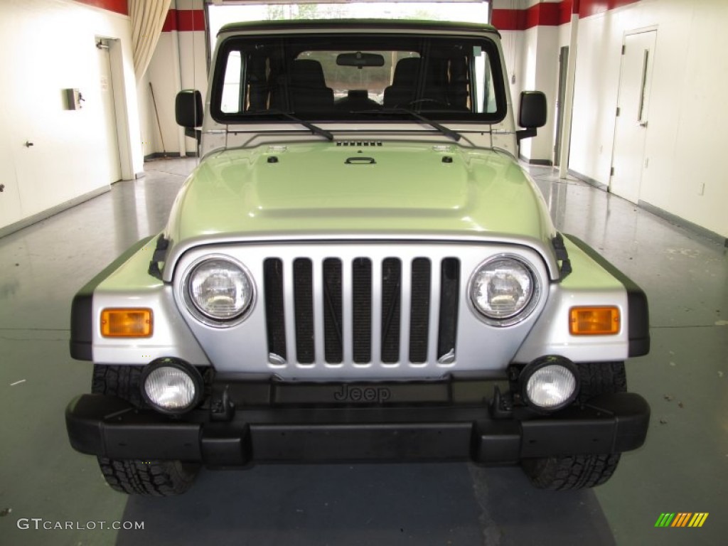 2004 Wrangler Unlimited 4x4 - Bright Silver Metallic / Dark Slate Gray photo #6