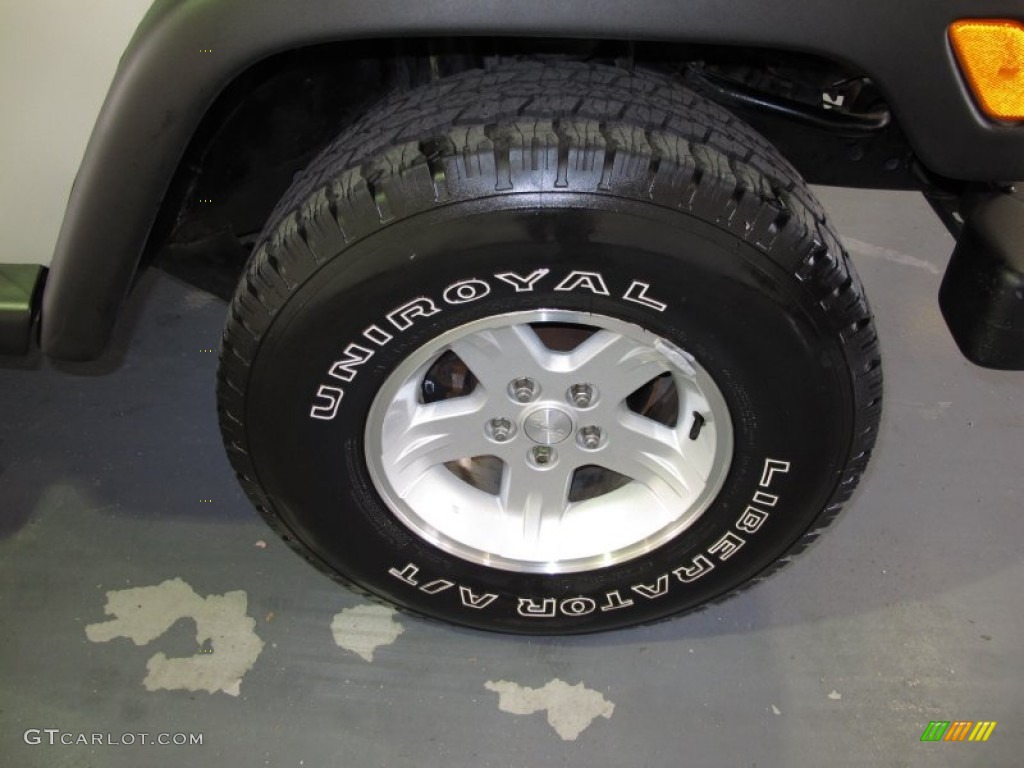 2004 Wrangler Unlimited 4x4 - Bright Silver Metallic / Dark Slate Gray photo #7