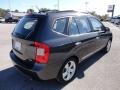 2007 Urban Gray Kia Rondo EX  photo #9