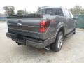 2012 Sterling Gray Metallic Ford F150 FX2 SuperCrew  photo #3