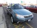 2009 Sage Green Metallic Subaru Forester 2.5 X Premium  photo #11