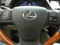 2010 Obsidian Black Lexus RX 350  photo #19