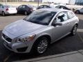 Silver Metallic - C30 T5 Photo No. 7