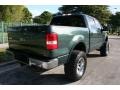 2004 Aspen Green Metallic Ford F150 Lariat SuperCrew 4x4  photo #9