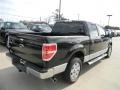 2011 Tuxedo Black Metallic Ford F150 XLT SuperCrew  photo #5