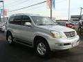 Titanium Metallic 2007 Lexus GX 470 Exterior