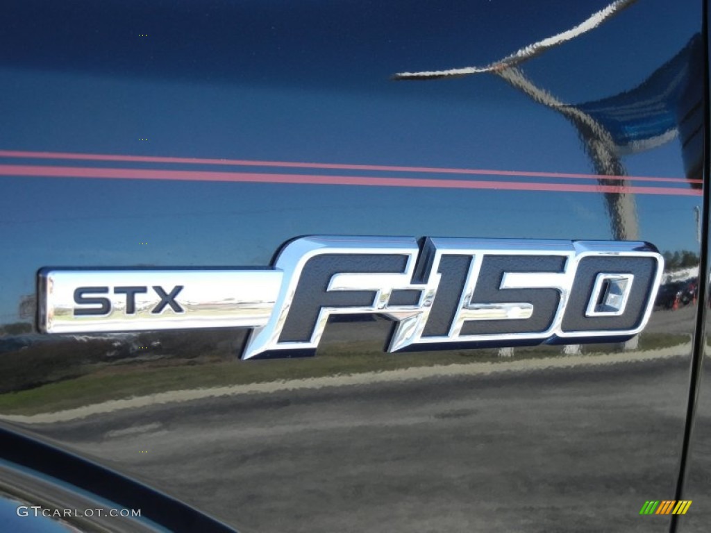 2010 F150 STX Regular Cab - Tuxedo Black / Medium Stone photo #9