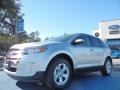 Ingot Silver Metallic - Edge SEL EcoBoost Photo No. 1