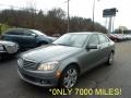 Palladium Silver Metallic 2010 Mercedes-Benz C 300 Luxury 4Matic