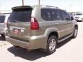 Desert Sage Green Metallic - GX 470 Photo No. 3