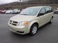 White Gold Pearl - Grand Caravan SE Photo No. 3