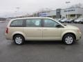 White Gold Pearl - Grand Caravan SE Photo No. 8