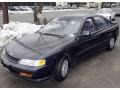 Nightshade Gray Pearl 1994 Honda Accord LX Sedan