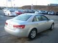Bright Silver - Sonata GLS Photo No. 6