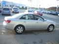 Bright Silver - Sonata GLS Photo No. 7
