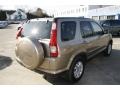 2005 Sahara Sand Metallic Honda CR-V Special Edition 4WD  photo #5