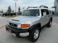 Titanium Metallic - FJ Cruiser 4WD Photo No. 7