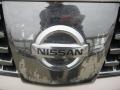 2006 Coral Sand Metallic Nissan Maxima 3.5 SE  photo #23