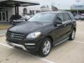 Black - ML 350 4Matic Photo No. 1