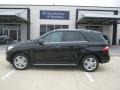 Black - ML 350 4Matic Photo No. 2