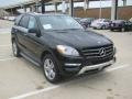 Black - ML 350 4Matic Photo No. 7