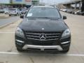 Black - ML 350 4Matic Photo No. 8