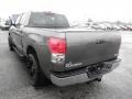 2007 Pyrite Mica Toyota Tundra Limited Double Cab 4x4  photo #16