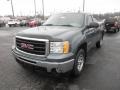 2009 Steel Gray Metallic GMC Sierra 1500 Work Truck Regular Cab  photo #3