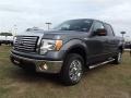 2012 Sterling Gray Metallic Ford F150 XLT SuperCrew  photo #3