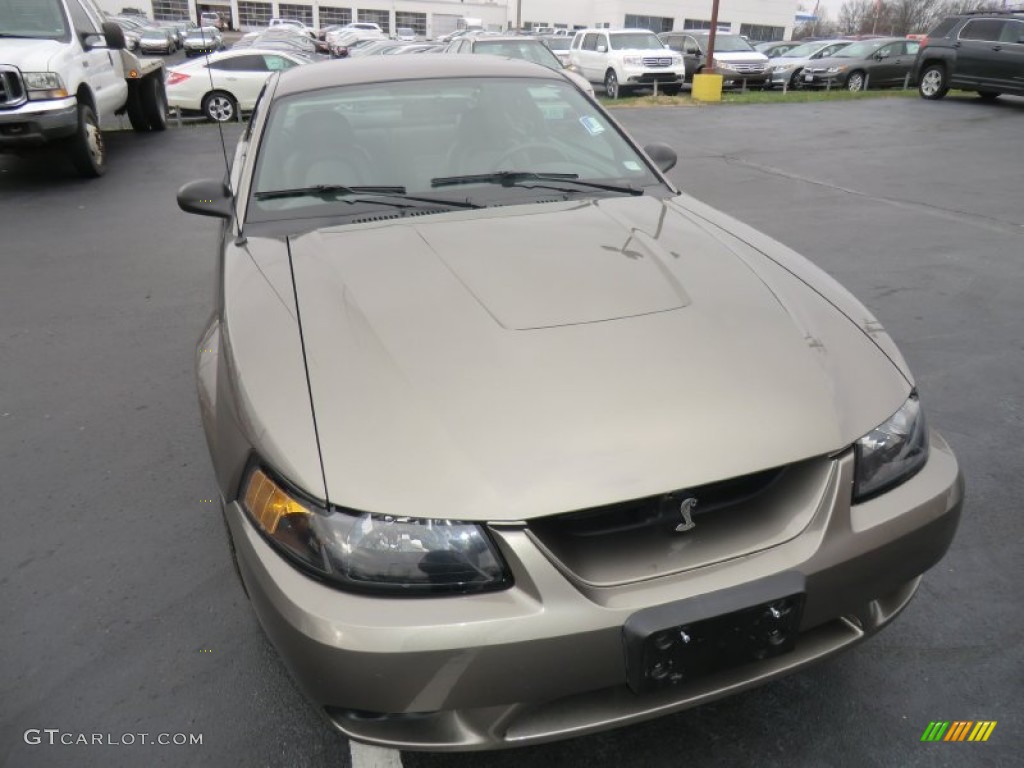 2001 Mustang Cobra Coupe - Mineral Grey Metallic / Medium Parchment photo #3