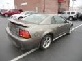 2001 Mineral Grey Metallic Ford Mustang Cobra Coupe  photo #5