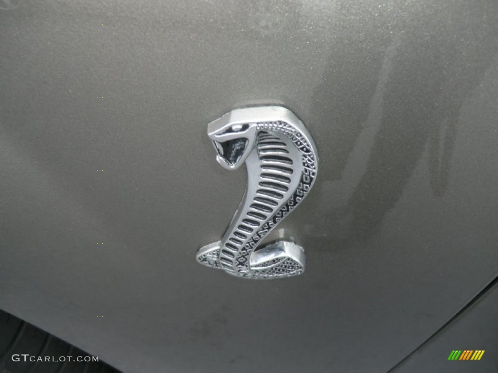 2001 Mustang Cobra Coupe - Mineral Grey Metallic / Medium Parchment photo #8