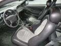 2001 Mineral Grey Metallic Ford Mustang Cobra Coupe  photo #12