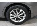 Platinum Graphite - G 37 x Sedan Photo No. 29