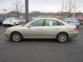 2009 Silk Beige Metallic Hyundai Azera Limited  photo #4