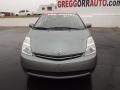 Tideland Gray Green Pearl - Prius Hybrid Photo No. 2