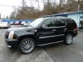 Black Raven - Escalade AWD Photo No. 1