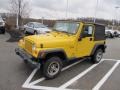 2003 Solar Yellow Jeep Wrangler X 4x4  photo #4