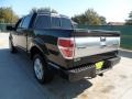 2010 Tuxedo Black Ford F150 Platinum SuperCrew  photo #5