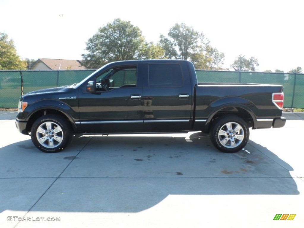 2010 F150 Platinum SuperCrew - Tuxedo Black / Sienna Brown Leather/Black photo #6