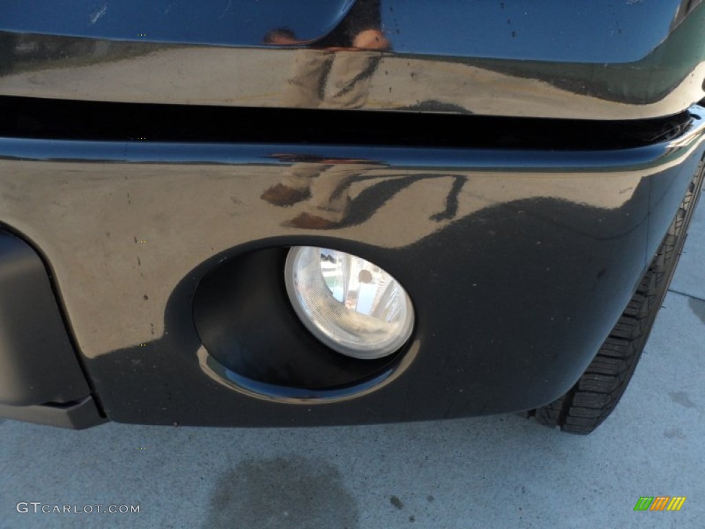 2010 F150 Platinum SuperCrew - Tuxedo Black / Sienna Brown Leather/Black photo #10