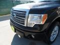 2010 Tuxedo Black Ford F150 Platinum SuperCrew  photo #11