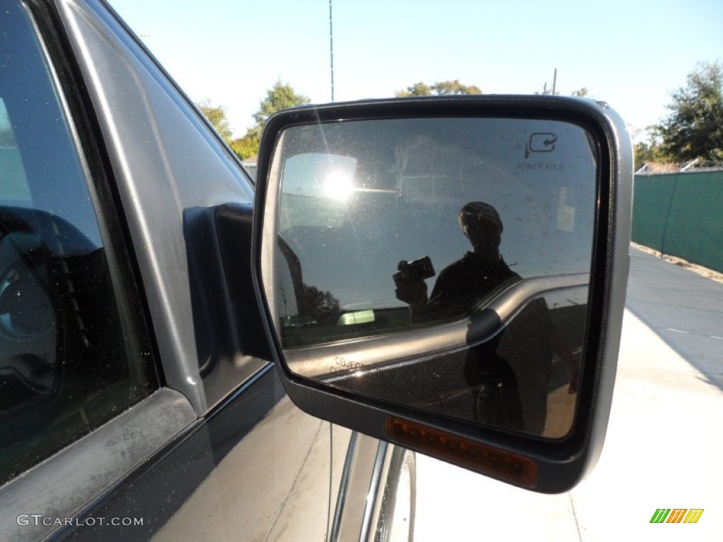 2010 F150 Platinum SuperCrew - Tuxedo Black / Sienna Brown Leather/Black photo #17