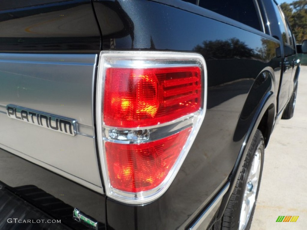 2010 F150 Platinum SuperCrew - Tuxedo Black / Sienna Brown Leather/Black photo #18