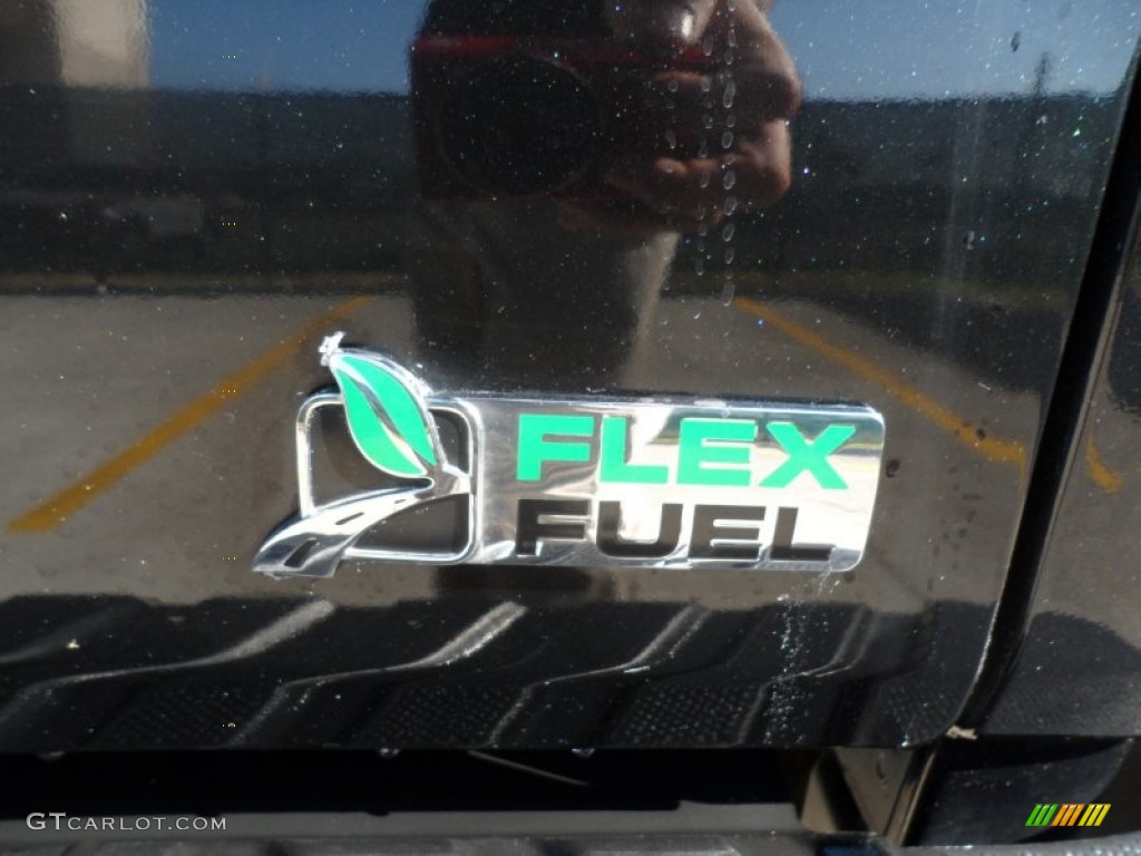 2010 Ford F150 Platinum SuperCrew Marks and Logos Photo #58655552