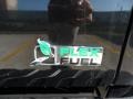  2010 F150 Platinum SuperCrew Logo