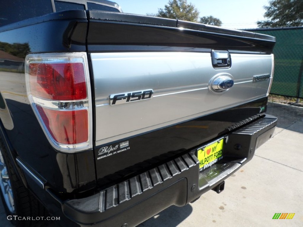 2010 F150 Platinum SuperCrew - Tuxedo Black / Sienna Brown Leather/Black photo #22