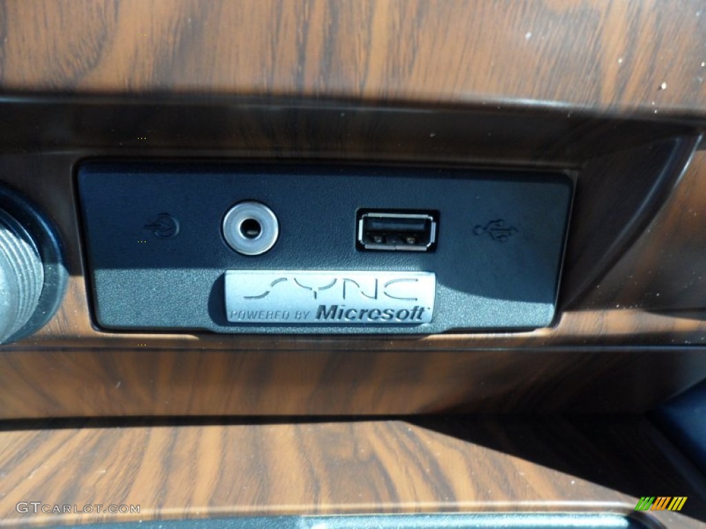 2010 F150 Platinum SuperCrew - Tuxedo Black / Sienna Brown Leather/Black photo #43